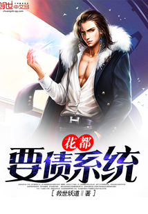 ����Ҫծϵͳ